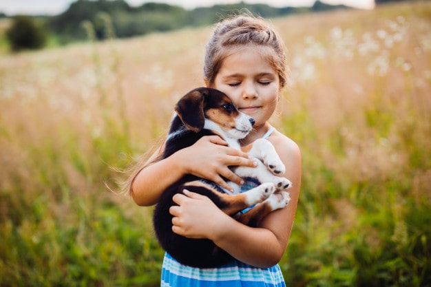 Caring for animals